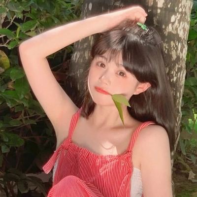 大征服者罗马bt版下载